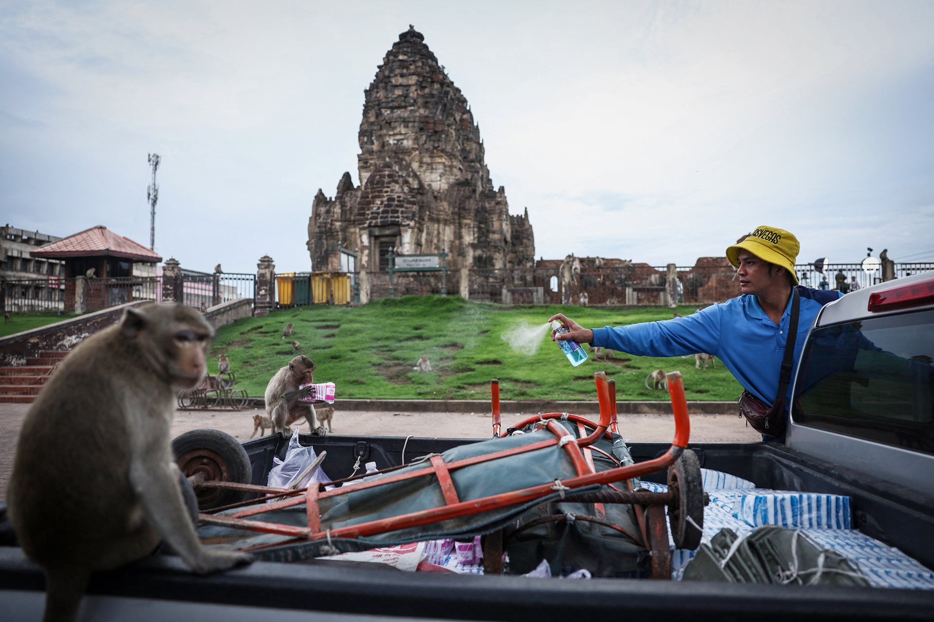 <p>A man sprays alcohol toward long-tailed macaques to keep them from stealing goods near Phra Prang Sam Yot temple, a monkey hotspot in Lopburi, Thailand.</p>
